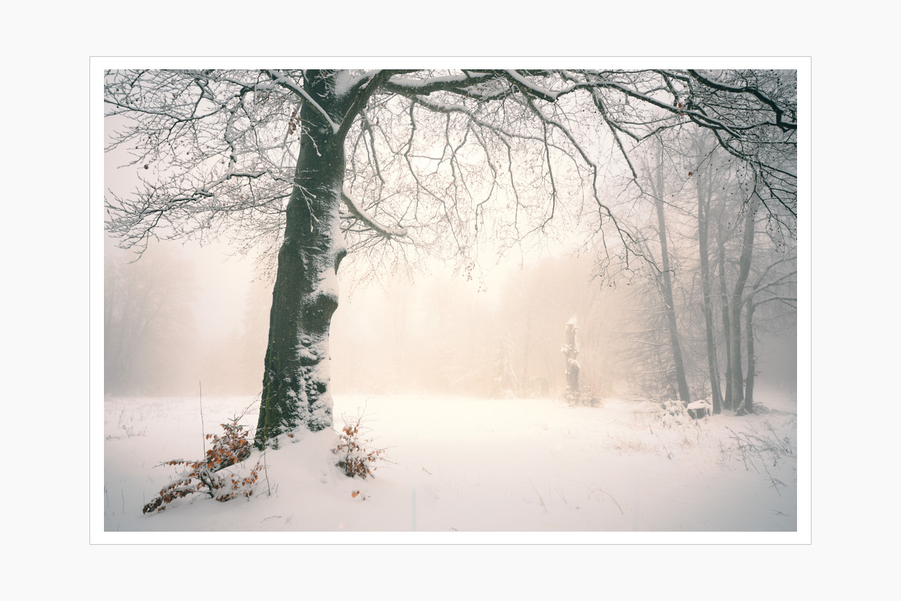 Max Schiefele Alle Bilder DS200004